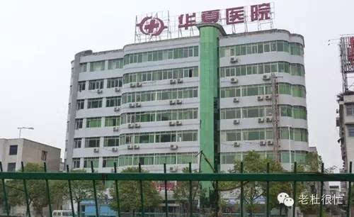 莆田系壮大史,大家必须要看看