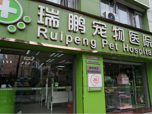 宠物赛道爆发 上市融资热潮下，山东抢占产业先机